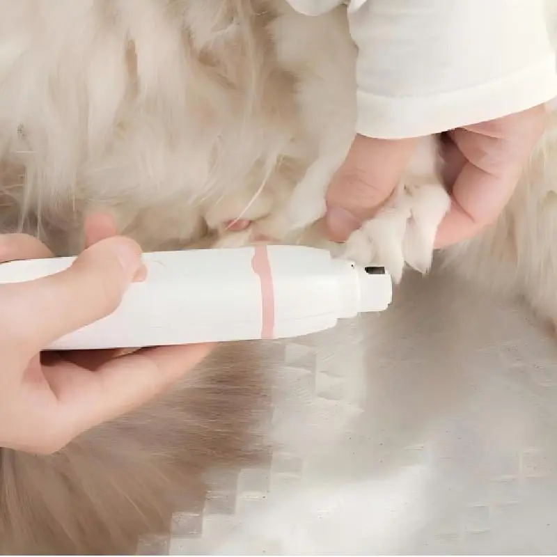 White and pink pet electric nail grinder being used on a fluffy cat’s paw.