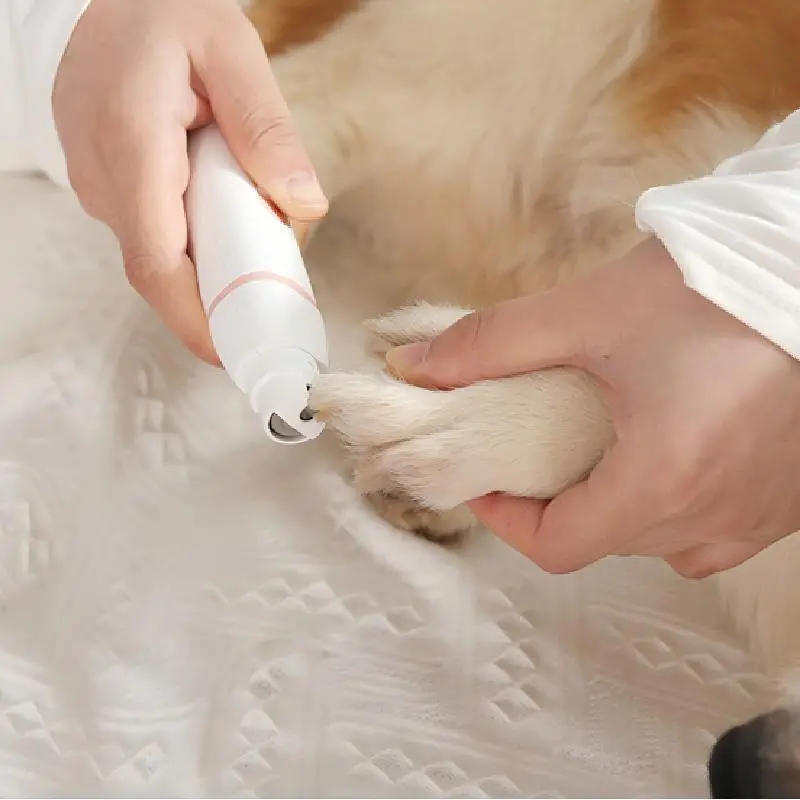 White and pink pet electric nail grinder being used on a dog’s paw for gentle nail trimming.