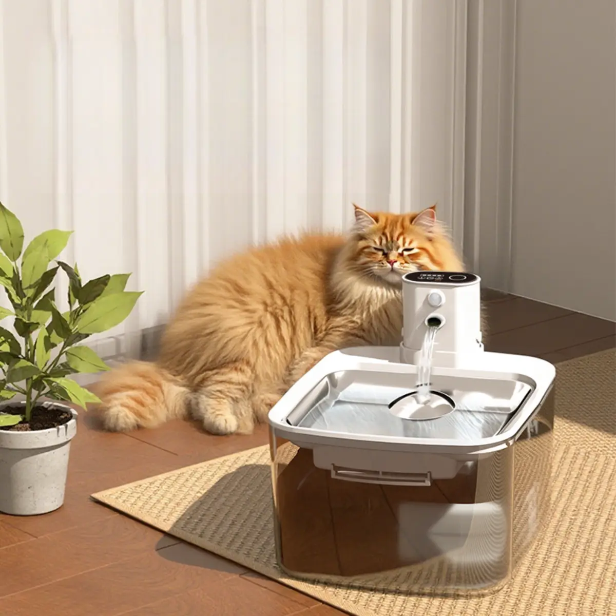 Fluffy orange cat resting beside a quiet, flowing pet water fountain.