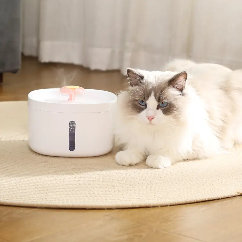 Blue-eyed Ragdoll cat resting beside a flowing white pet water fountain at home.