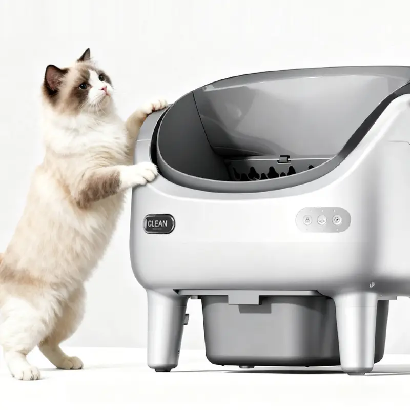 A Ragdoll cat stands and interacts with an open-style smart self-clean cat litter box in a bright minimalist modern pet home space
