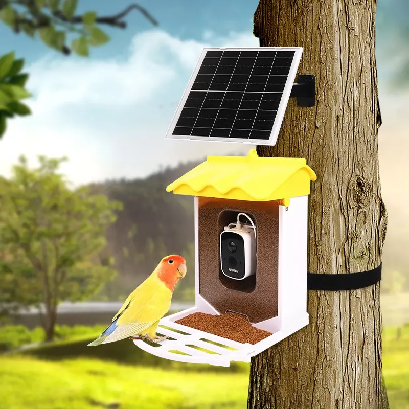 Solar-powered smart AI bird feeder camera mounted on a tree, attracting a colorful parrot.
