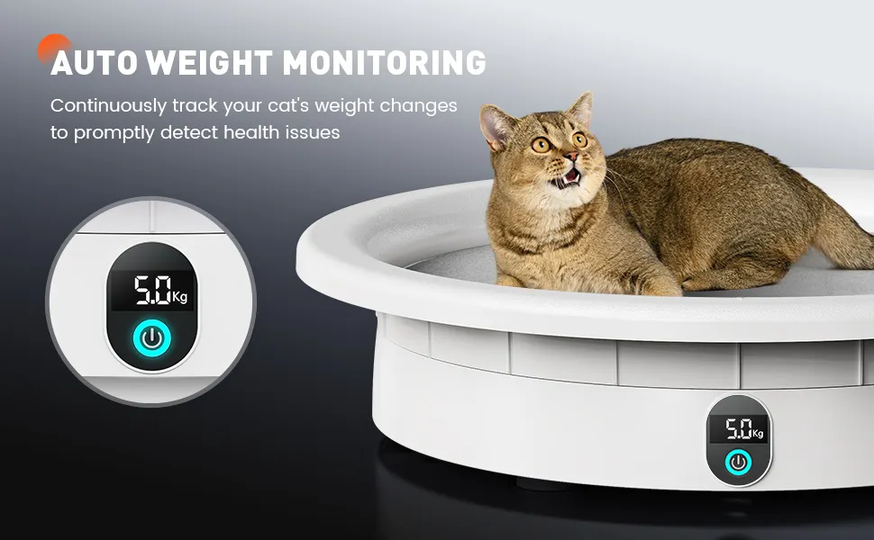 SH3604 Built-In Pet Weight Display Cat resting on a white SH3604 smart pet bed with the digital display showing 5.0 kg